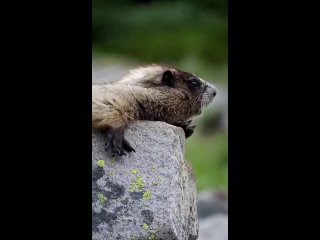 video from beautiful places on earth - tourism - travel