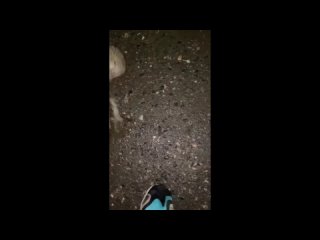 video by is overheard a great ustyug