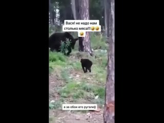 vasya does not need to | @videfunny