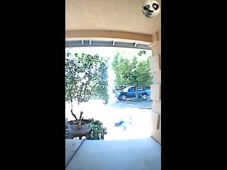 a selection of humor | @videfunny