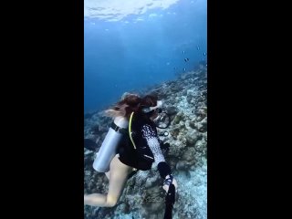 a selection of humor | @videfunny