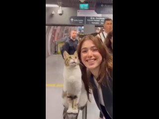 vine | @videfunny