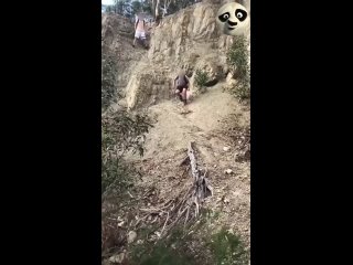 he was not mistaken - he flew into a mistake from the run | @videfunny