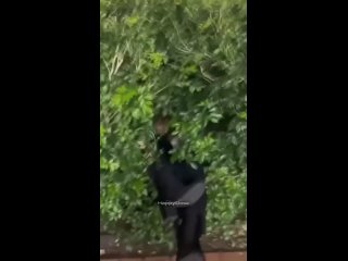 you definitely don't get bored with such a husband | @videfunny