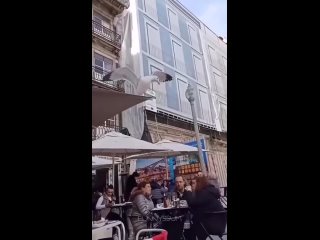 the situation is of course very awkward | @videfunny