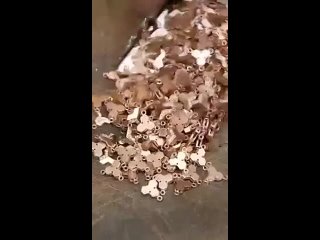 vine | @videfunny
