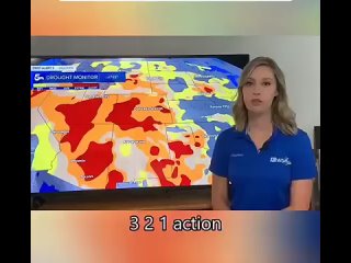any broadcast becomes better if a cat appears in the frame