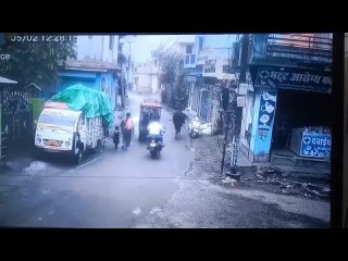 nothing unusual, just in india a bull stole a scooter and swept on it for several tens of meters the face of the owner of the scooter and