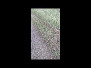 video by is overheard a great ustyug