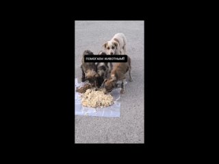 video by is overheard a great ustyug