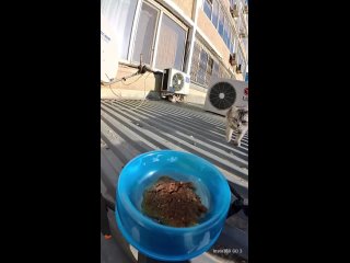 video from @videfunny | @videfunny