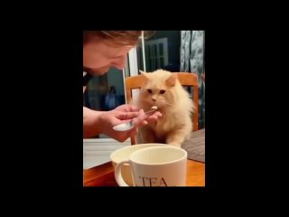 video from @videfunny | @videfunny