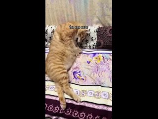video from @videfunny | @videfunny
