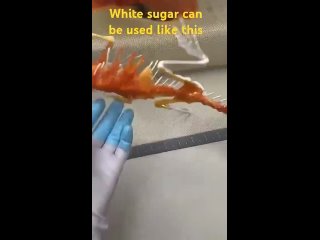 the manufacture of anatomically accurate lizard from sugar