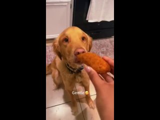 bite a little