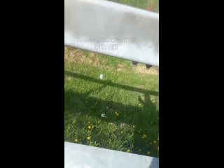 the taxi driver threw the garbage directly from the car and now what came of it
