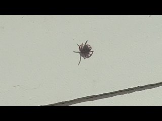 video by is overheard a great ustyug